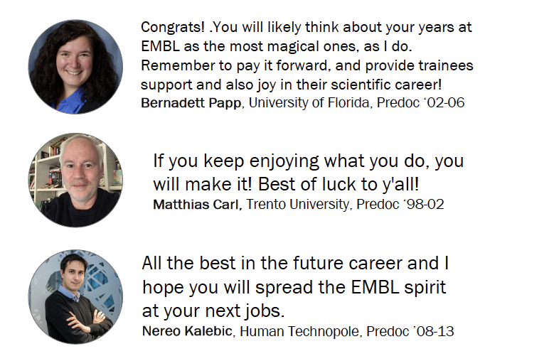 Well wishes and quotes from three individuals with their accompanying profile photograph.