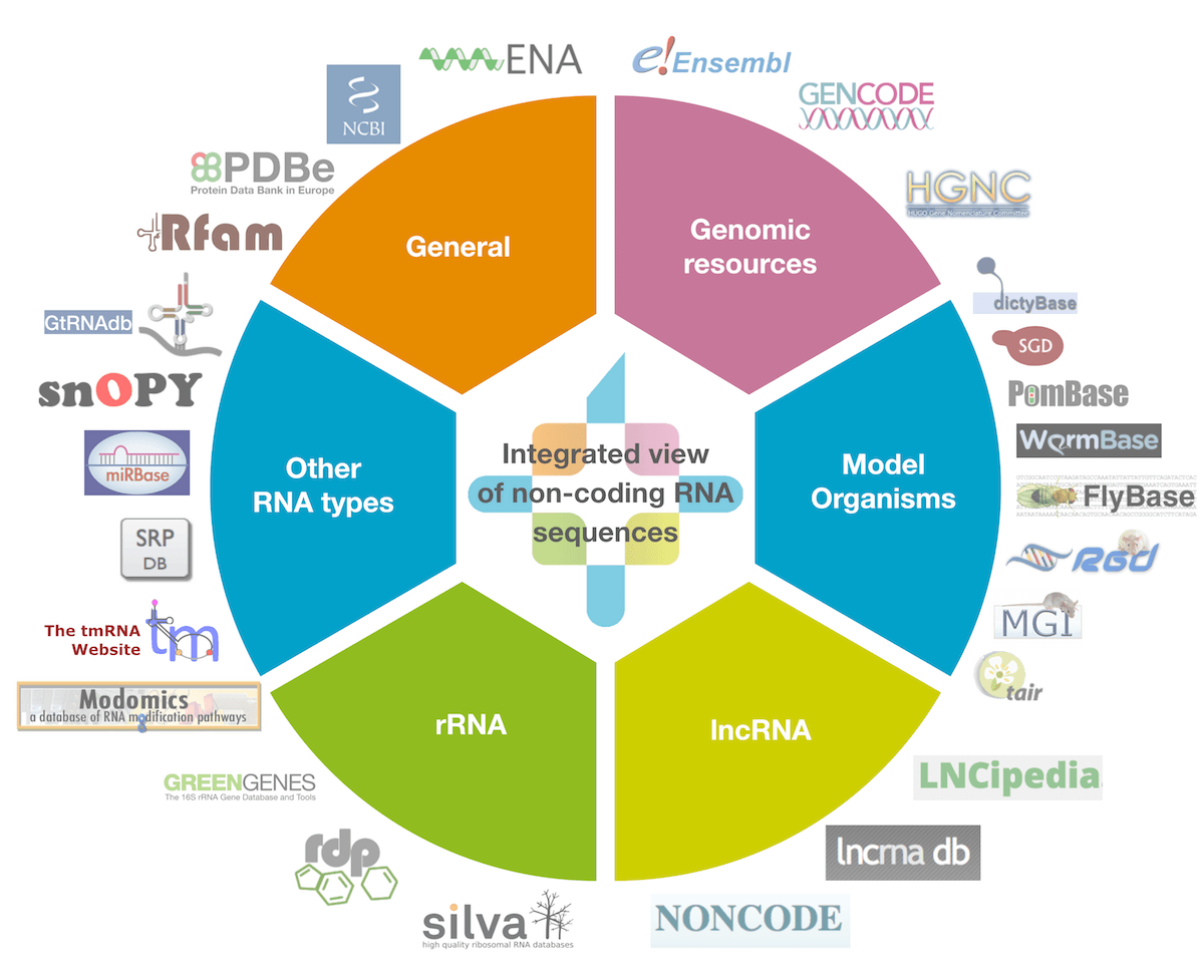 Non-coding RNA Annotation – EMBL | Stanford Life Science Alliance