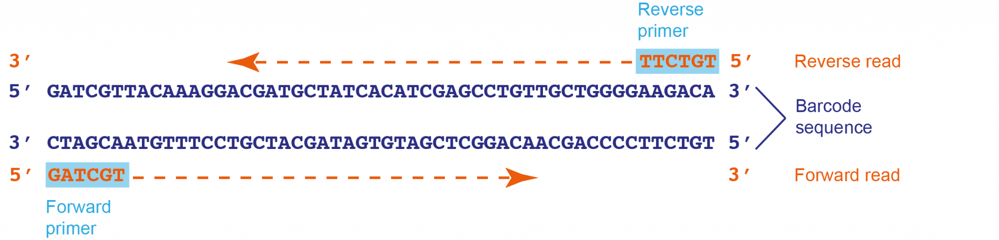 Bioinformatics Tutorial – EMBL ELLS