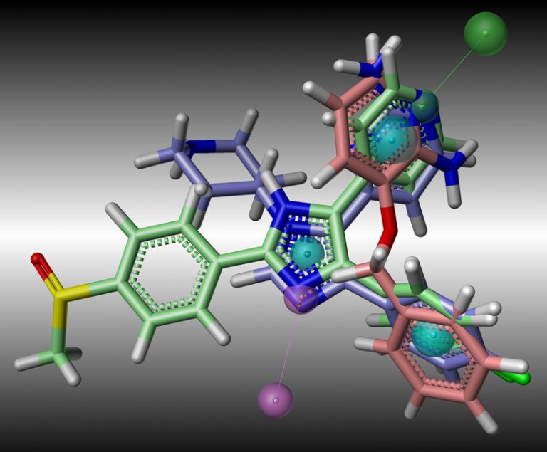 Computational Chemistry – Chemical Biology Core Facility