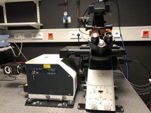 confocal spinning disk