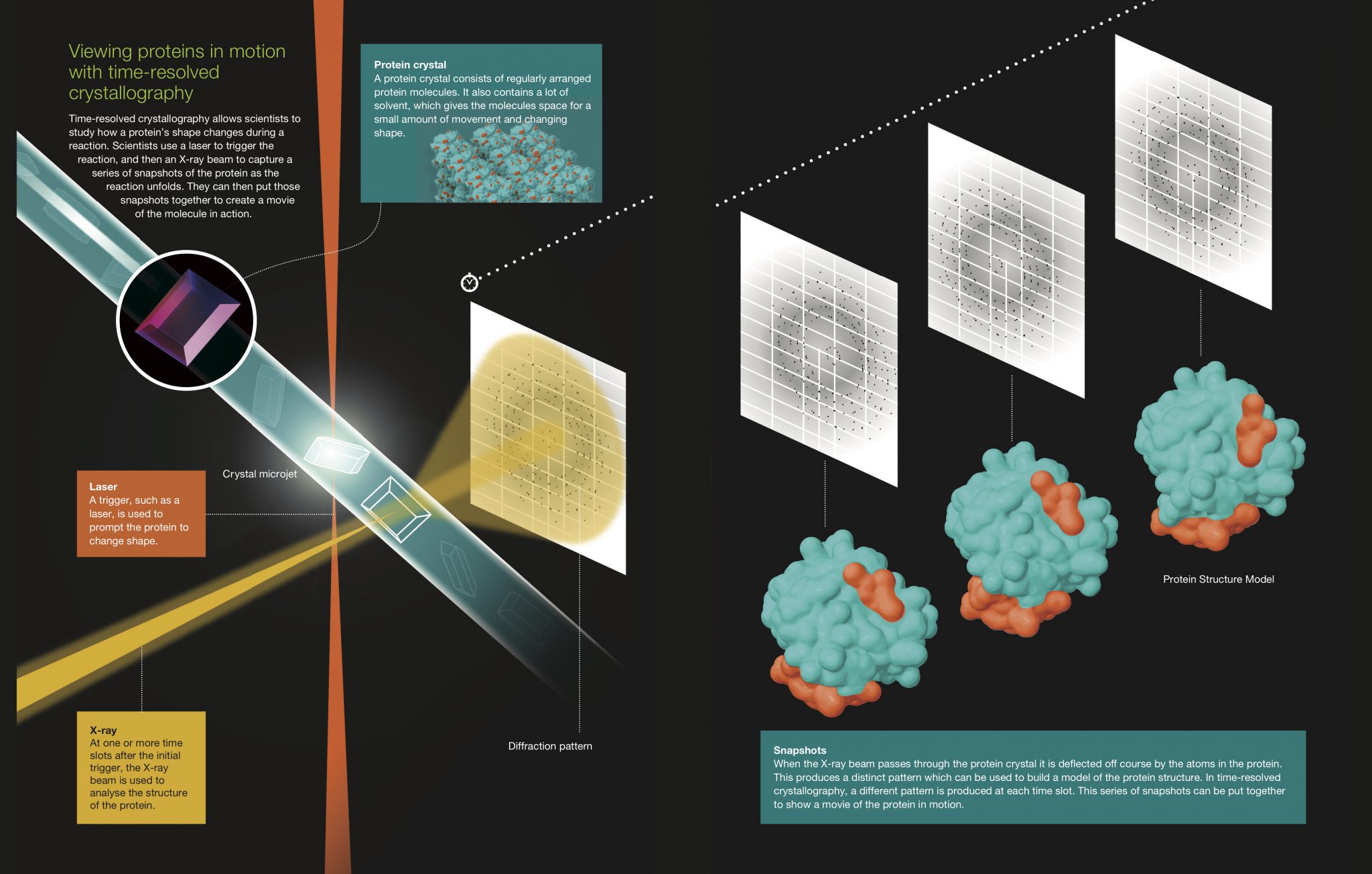 Beamline P14.EH2 – Macromolecular Crystallography