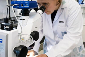 scientist looking through a Binocular, Stemi508