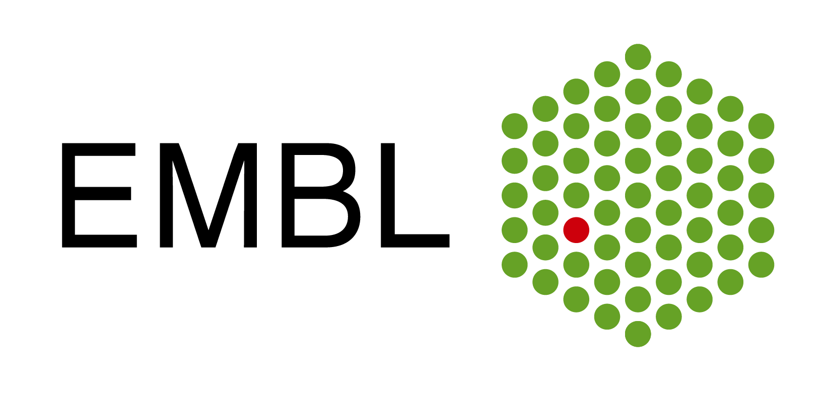 https://www.embl.org/news/wp-content/uploads/2017/07/EMBL_logo_colour.png