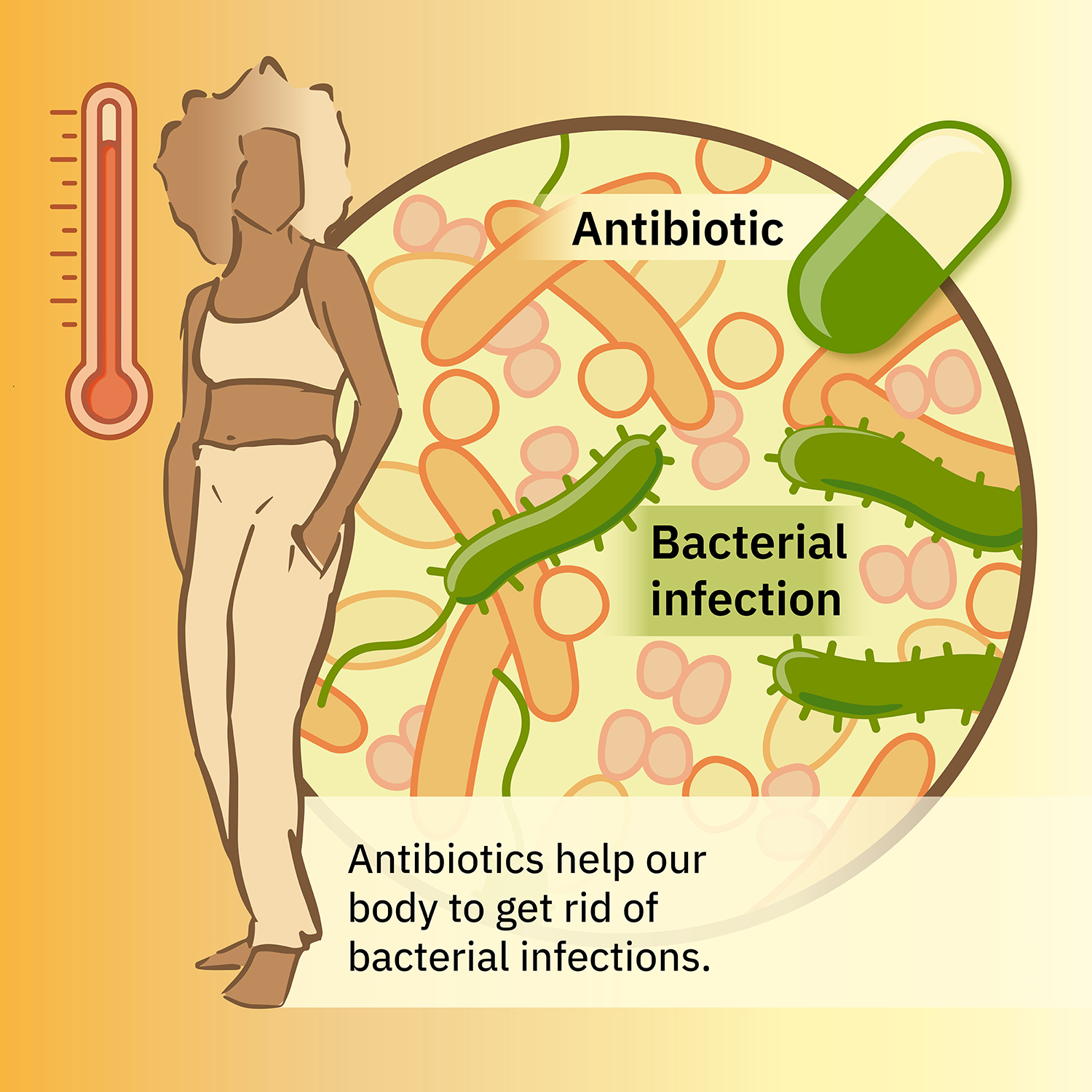 Tackling The Collateral Damage From Antibiotics EMBL