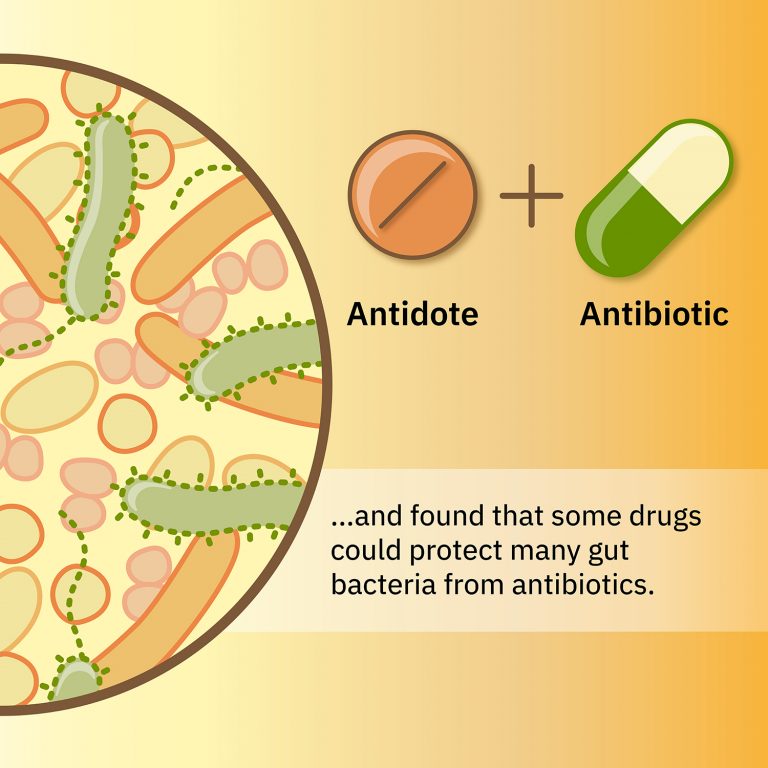 tackling-the-collateral-damage-from-antibiotics-embl