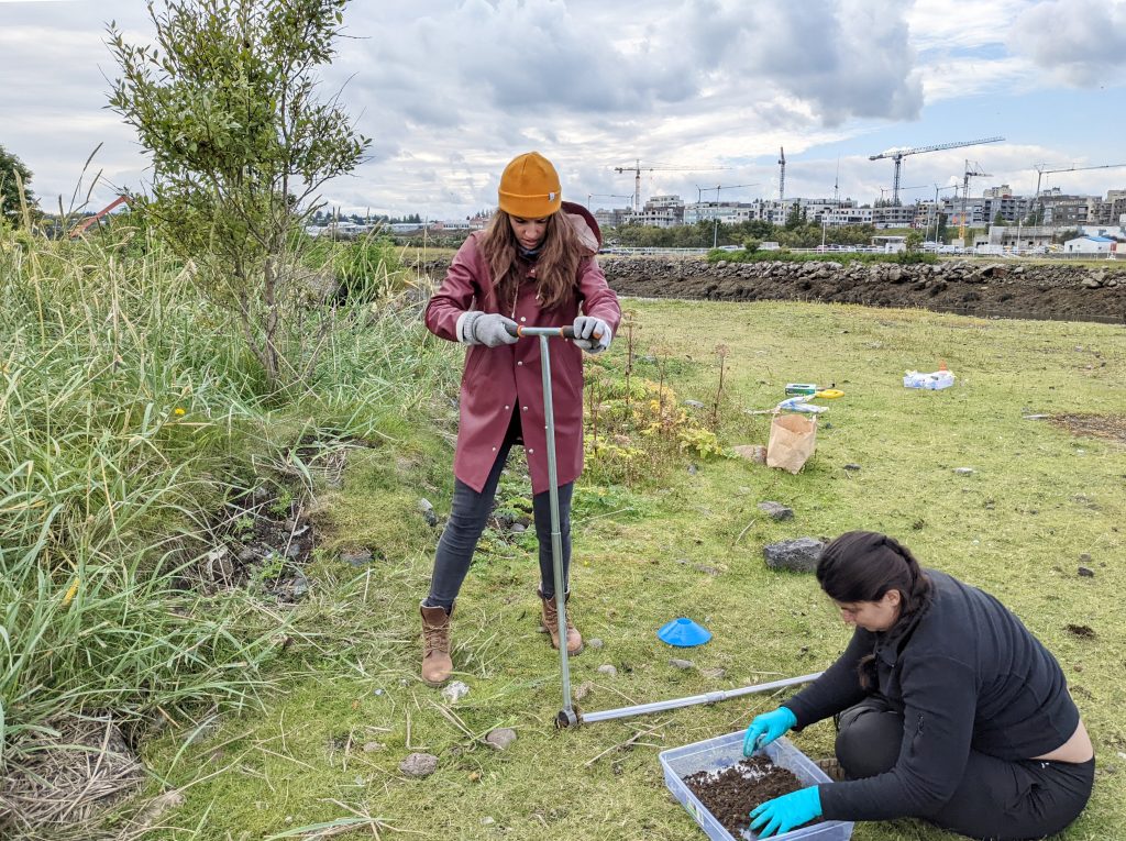 A female scientist bores into the soil with a thin metal rod (a corer) while another homogenizes soil samples. 