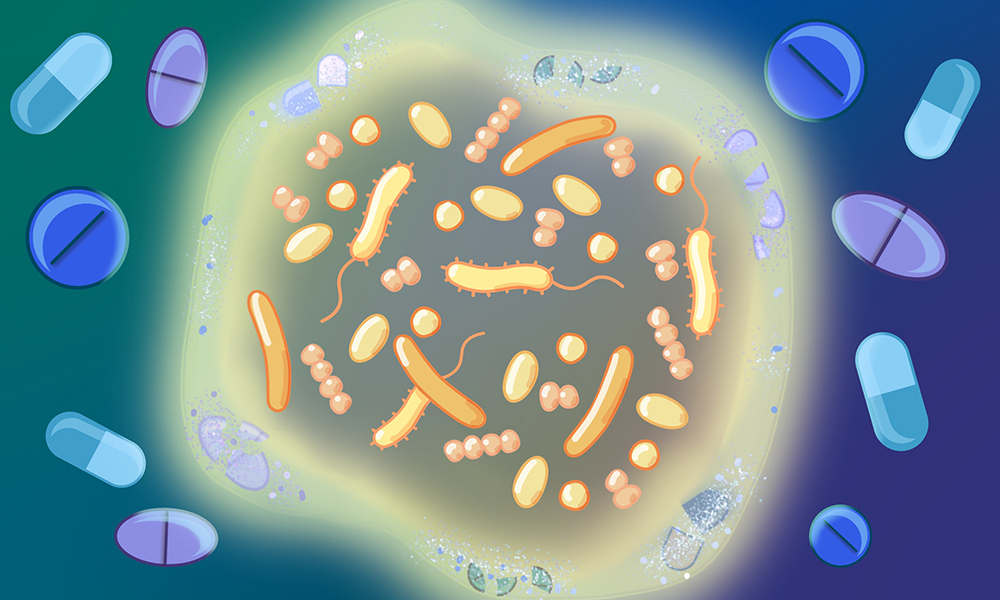 Illustration showing several drugs being broken down when reaching a community of gut bacteria. This community has different types of bacteria.