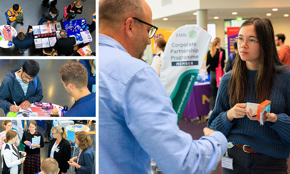 Collage of photos taken during the Industry Day at EMBL Heidelberg