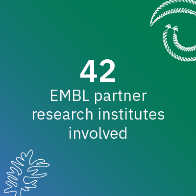 42 
EMBL partner research institutes involved