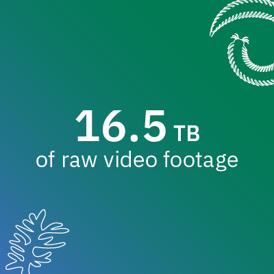 16.5 TB of raw video footage