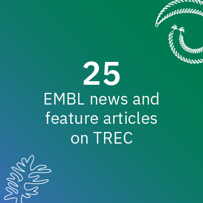 25 EMBL news and feature articles on TREC