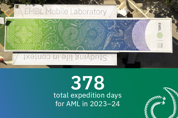 378 total expedition days for AML in 2023–24