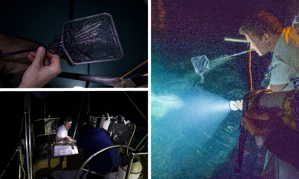 The visual has three different photographs. The left section is divided between two: the photograph on the top has a fishing net with a little worm inside; on the bottom it is shown a guy in a boat. On the right side, it is present a vertical photograph of a boy looking into the ocean with a lantern.