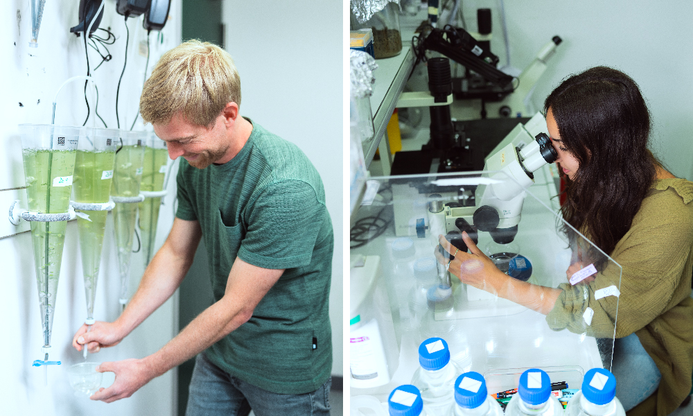 The visual is divided into two photographs: the first shows a boy filling up a glass with a transparent-green liquid; the second shows a girl looking into a microscope.