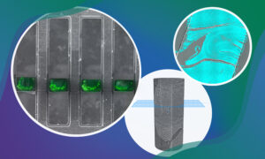 The visual has three circles filled with microscopy images. The first presents rectangles with green points in a middle section. The second a grey cylinder form with a blue sectioning rectangle. The last shows a blue form with microscopic resolution.