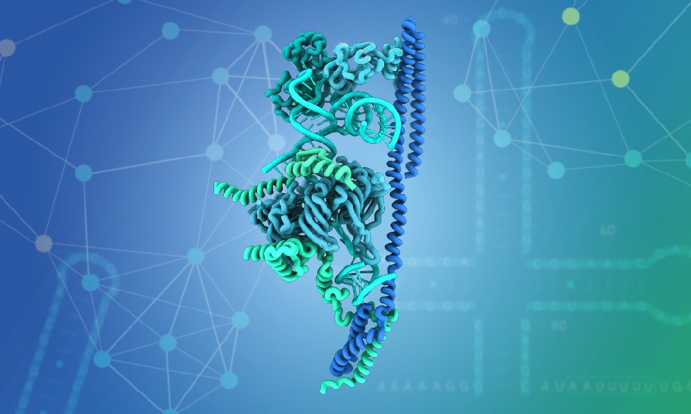 3D representation of a protein structure