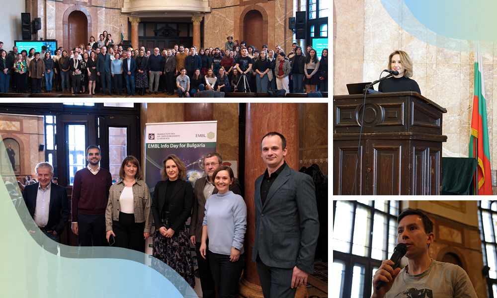 Collage of four photos. Top left shows a group photo with about 50 people inside a conference room, top right shows a woman speaking at a podium, bottom right shows a male participant with a microphone, and bottom left shows a group photo with seven people in front of an event poster.