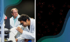 Collage with the left image showing two male scientists, one of whom is looking into a microscope, and the right image showing microscopy images of nuclear pore complexes captured using a MINFLUX set-up. The NPCs appear as small bright dots arranged in rough circles on a dark background.